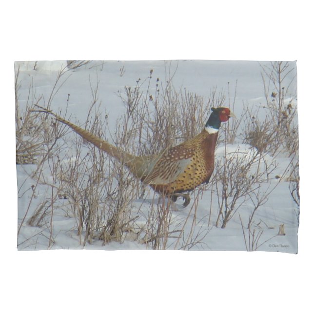 Funda De Cojín Pheasant B23 de cuello alto en nieve (Anverso)