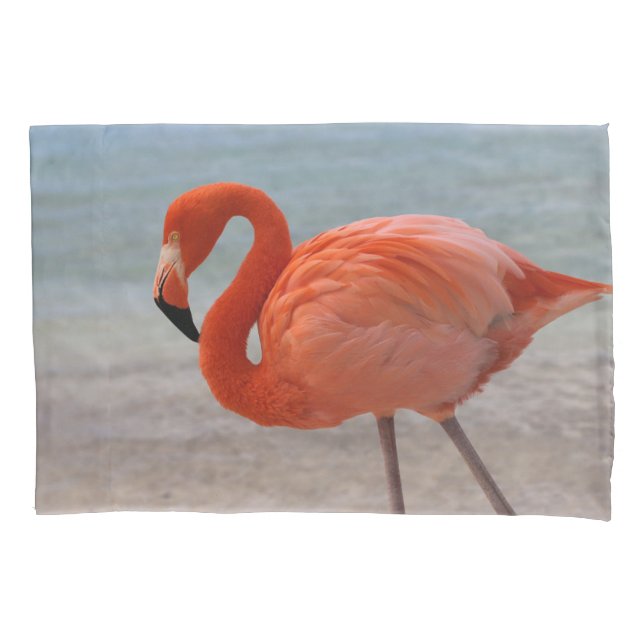 Funda De Cojín Playas tropicales | Flamingo caribeño, Aruba (Anverso)