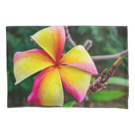 Funda De Cojín Plumeria rubra