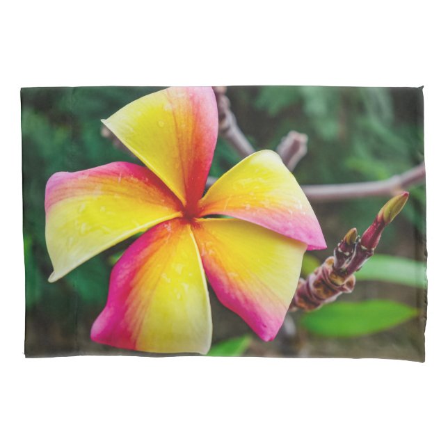 Funda De Cojín Plumeria rubra (Anverso)