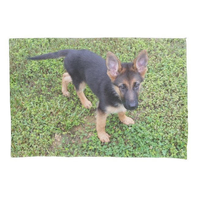 Funda De Cojín Protegido por el cachorro (Anverso)