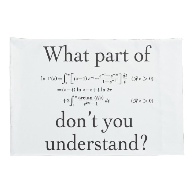 Funda De Cojín ¿Qué parte…? (Reverso-derecho)