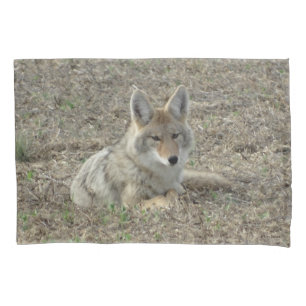 Funda De Cojín R22 Coyote Acostado