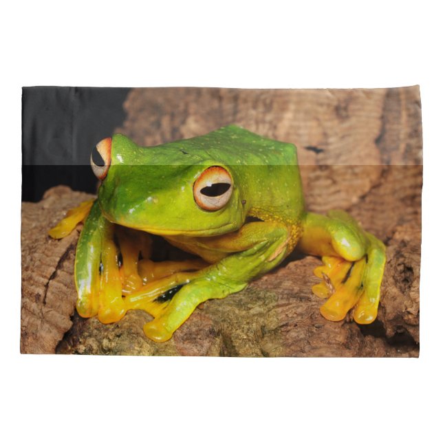 Funda De Cojín Rana de deslizamiento Negro-Reticulada vietnamita (Reverso)