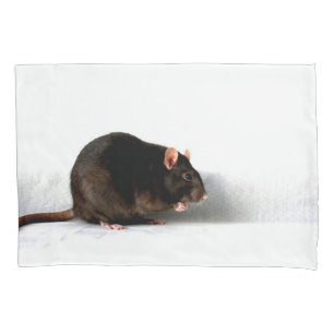 Funda De Cojín Rat pccna
