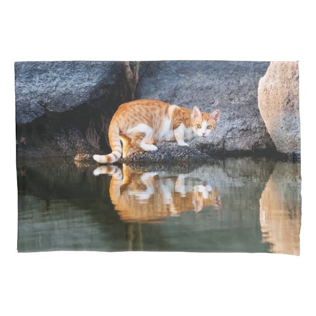 Funda De Cojín Reflexión del gato en la foto del agua de estanque (Anverso)