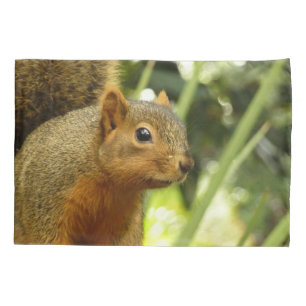 Funda De Cojín Retrato de una ardilla Fotografía de animales de l