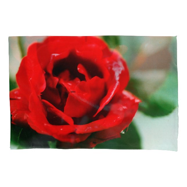 Funda De Cojín Rosa Roja con gotas de rocío (Anverso)