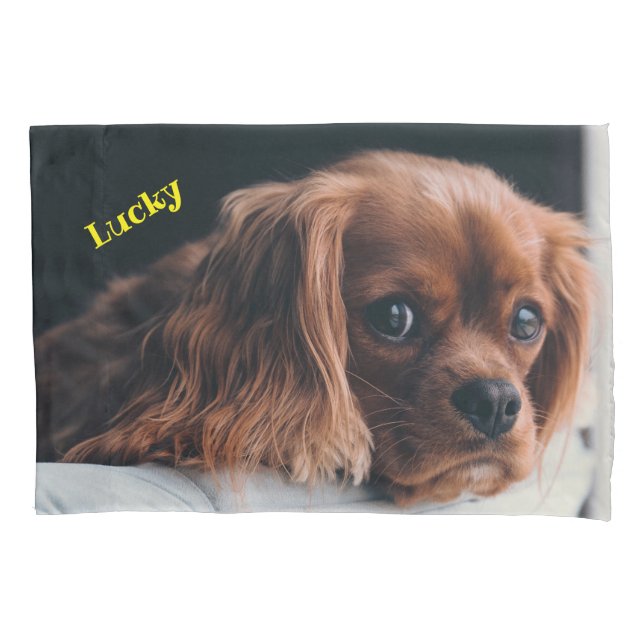 Funda De Cojín Ruby Cavalier King Charles Spaniel Dog (Anverso)