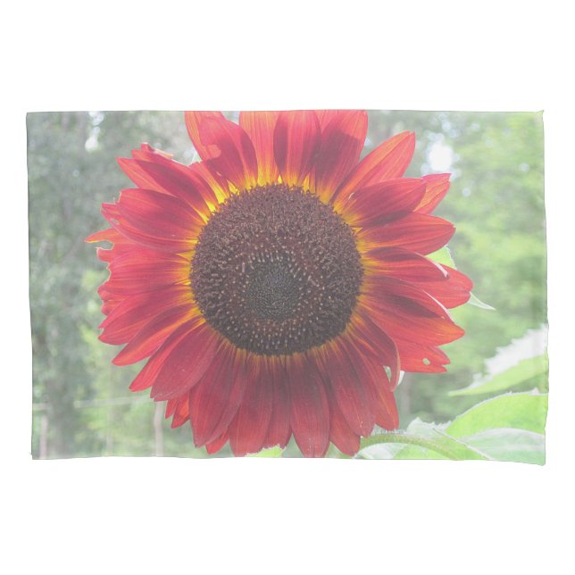 Funda De Cojín Rusty Red Sunflower (Anverso)