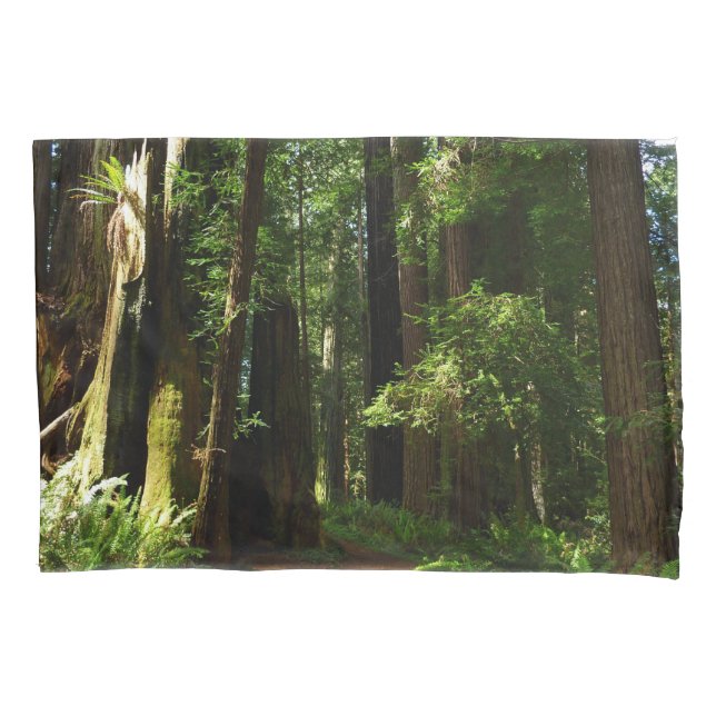 Funda De Cojín Secuoyas y ferris en el Parque Nacional Redwood (Anverso)