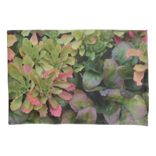 Funda De Cojín Sedum, Ajuga, Iris y Columbina