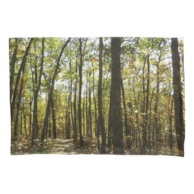 Funda De Cojín Sendero Apalache en octubre en Shenandoah (Anverso)