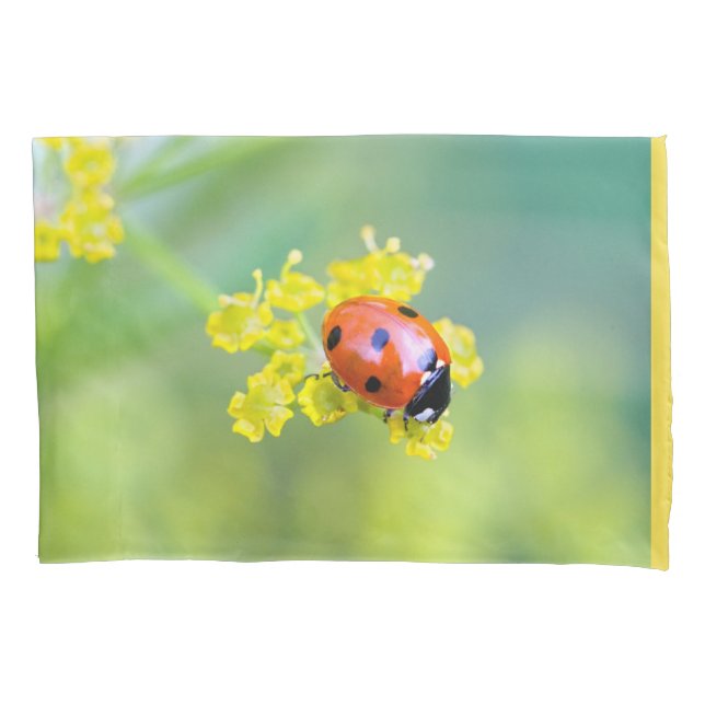 Funda De Cojín señora de arriba (Anverso)