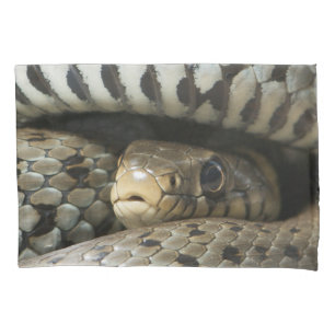 Funda De Cojín Serpiente
