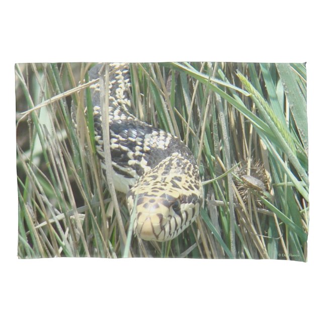 Funda De Cojín Serpiente de toro R4 en la hierba (Anverso)
