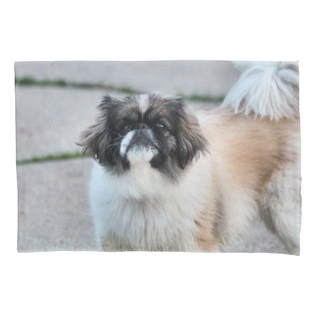 Funda De Cojín Shih Tzu (Anverso)