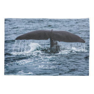 Funda De Cojín Sperm Whale