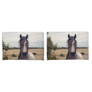 Funda De Cojín Star El Poni Árabe