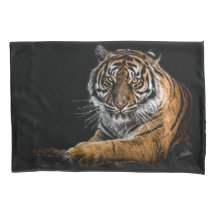 Tigre animal de jungla salvaje