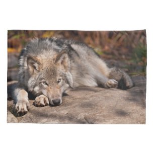 Funda De Cojín Timber Wolf