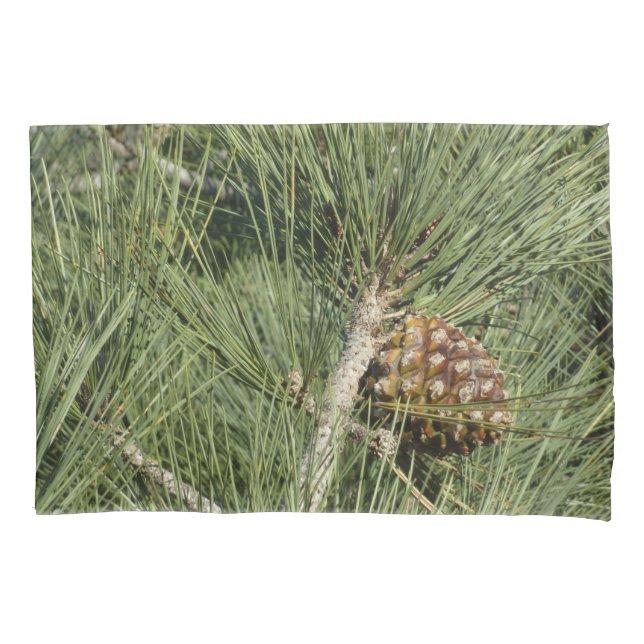 Funda De Cojín Torrey Pine Closeup California Botanical (Anverso)