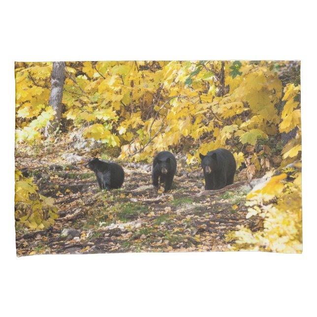 Funda De Cojín Tres Baños (Anverso-Derecho)