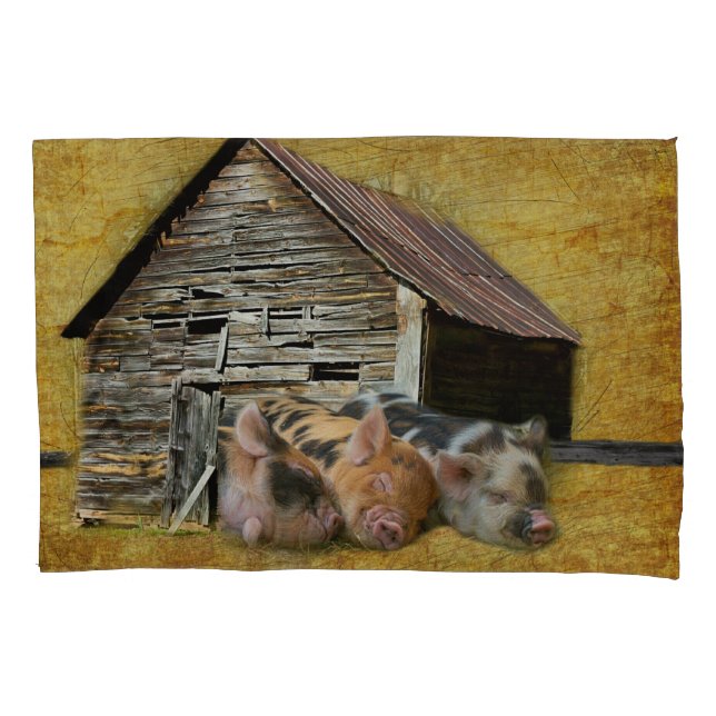 Funda De Cojín Tres Cerditos En El Rústico Barn Snoozing (Anverso)