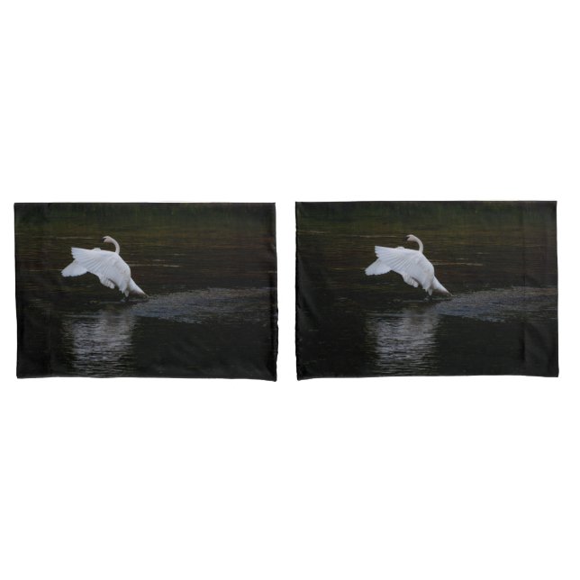 Funda De Cojín Trumpeter Swan (Anverso - Set)