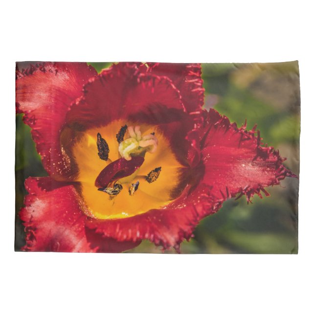 Funda De Cojín Tulip rojo (Reverso)