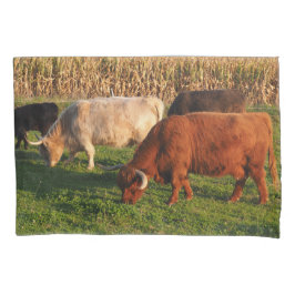 Funda De Cojín Vacas de Escocia en la región montañosa