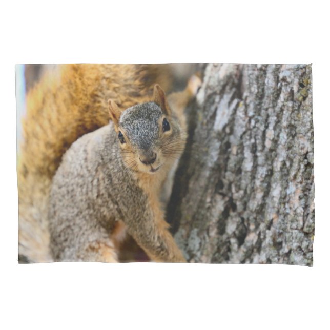 Funda De Cojín ¿Vienes? (Anverso)