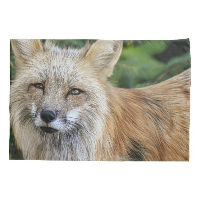 Funda De Cojín Wild Fox (Reverso)