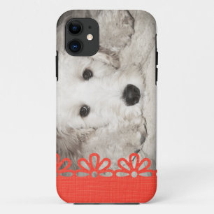 Funda de Dog Lovers Photo iPhone 5