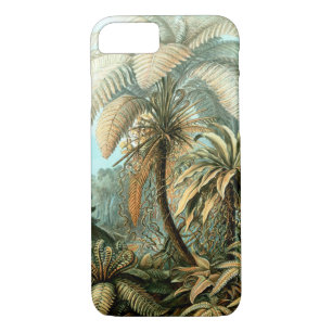 Funda de Ernst Haeckel's Filicinae (fernés de árbo