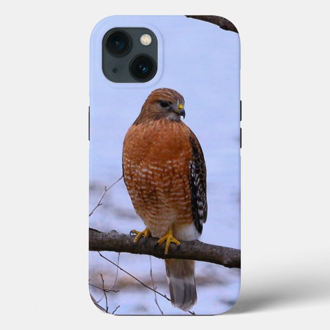 Funda de halcón de hombro rojo para iPhone 13 (Reverso )