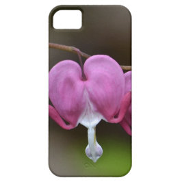 Funda de iPhone 5 para el corazón sangrante