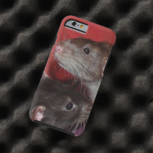 Funda de iPhone 6 de Dumbo rat