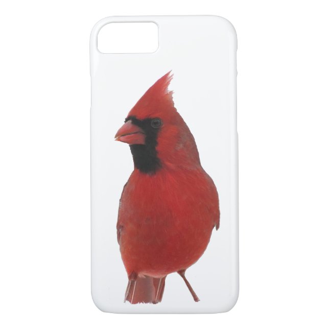 Funda de iPhone 8/7 cardinal septentrional (Reverso)