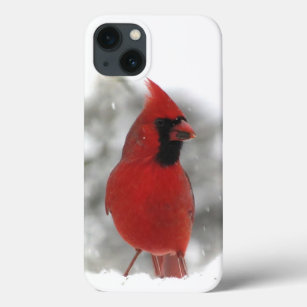Funda de iPhone Cardinal Bird 13