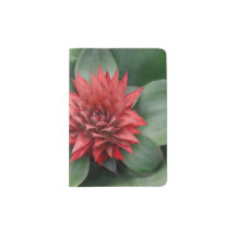 - Fleur rouge tropicale