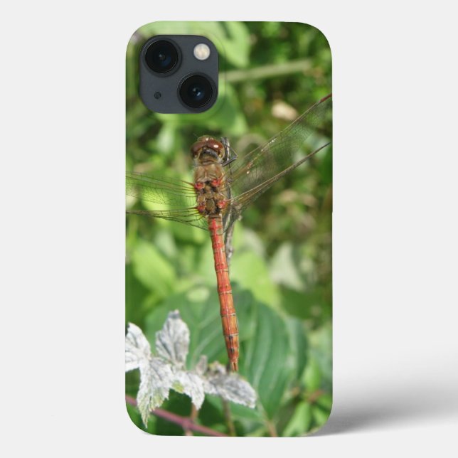 Funda de Samsung Darter Dragonfly (Reverso)