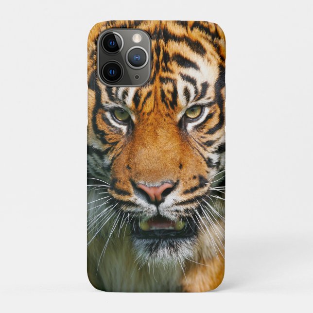 Funda del iPhone 11 del tigre (Reverso)