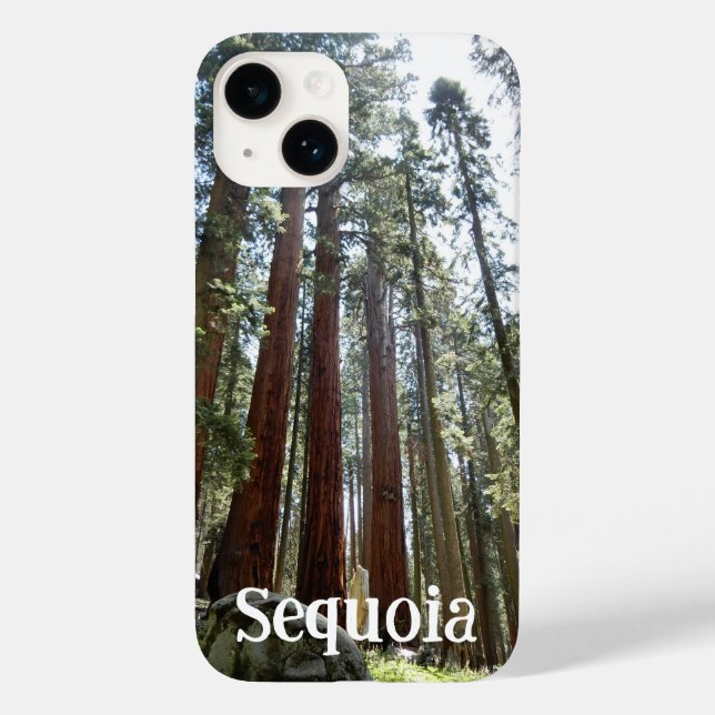Funda del iPhone 14 del bosque nacional Sequoia (Reverso )