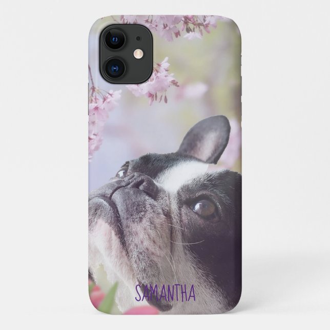 funda del iPhone Boston Terrier (Reverso)