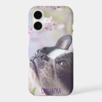 funda del iPhone Boston Terrier