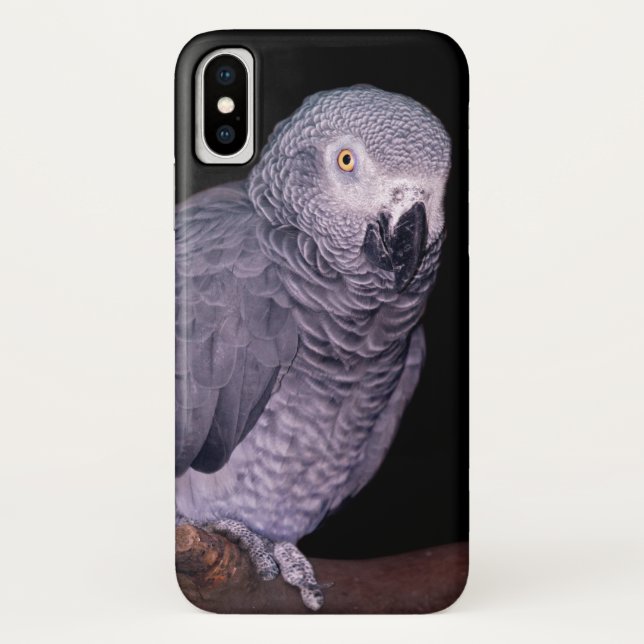 Funda del iPhone X de African Gray Parrot (Reverso)