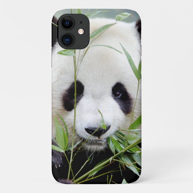 Funda Foto gigante panda, panda geant , animales. (Reverso)