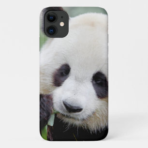 Funda Foto gigante panda, panda geant, animales.