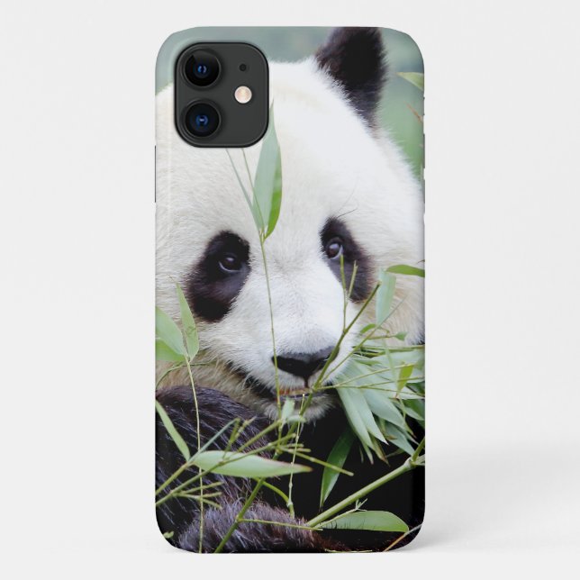 Funda Foto gigante panda, panda geant, animales. (Reverso)
